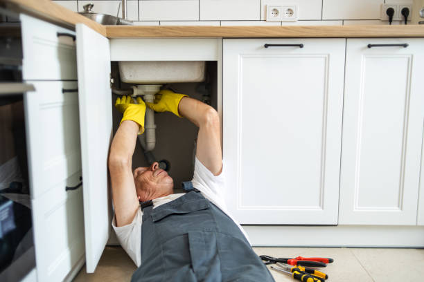 Best Local Plumber Services  in Ignacio, CO
